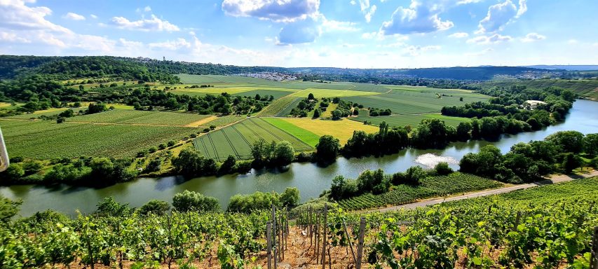 Weinberge entlang eines Flusses, umgeben von grünen Hügeln und blauem Himmel.