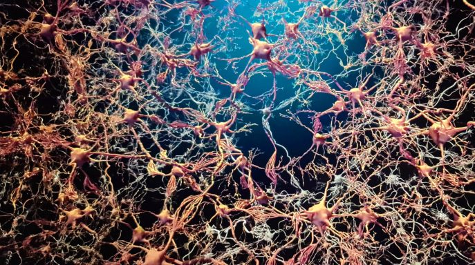 Ein komplexes Netzwerk von Neuronen mit leuchtenden Verbindungen auf dunklem Hintergrund.