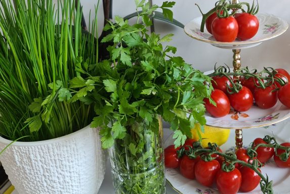 Frische Tomaten, Koriander und Schnittlauch in Töpfen und auf einem Servierständer.