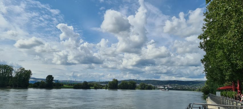 Blick auf einen Fluss mit Wolken und grünen Bäumen am Ufer.